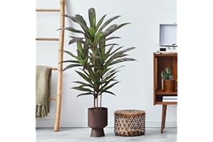 FLOWORLD Dracaena Artificial Plant 4ft Red Yucca Silk Tree Faux Plants Indoor Tall Fake House Floor Plants Realistic Artificial Trees for Home Office Decor Indoor Outdoor Housewarming Gift