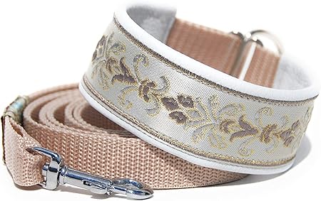 whippet puppy collar