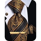 YourTies Silk Ties for Men Paisley Floral Striped Necktie and Pocket Square Cufflinks Tie Clip Set 4PC