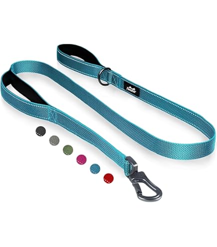 Amazon.com : OmniPet Leather Brothers 6-Feet x 1-Inch Nylon Dog