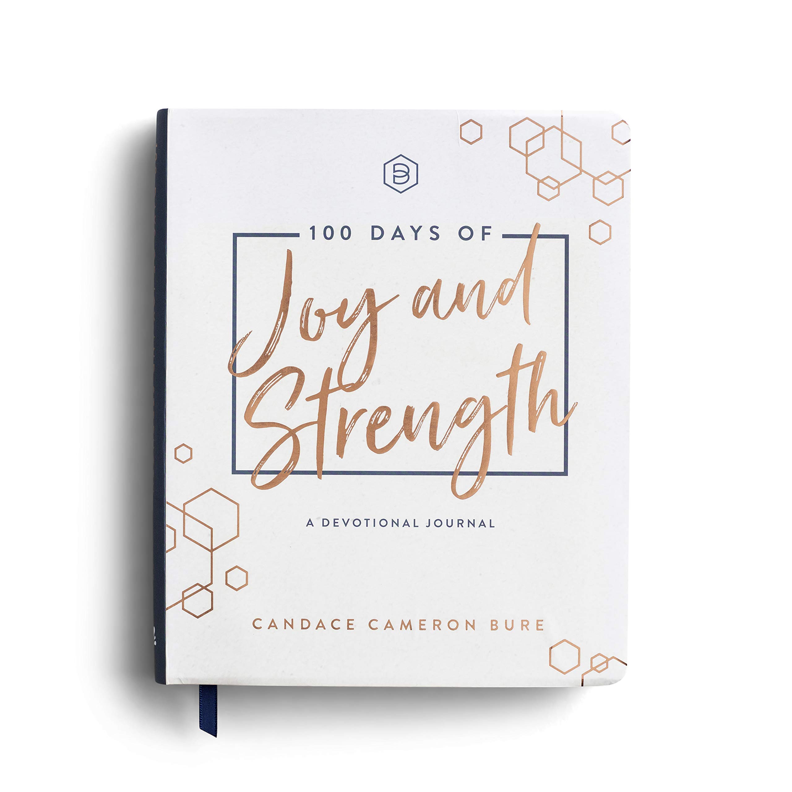 Photo 1 of 100 Days of Joy and Strength: A Devotional Journal
