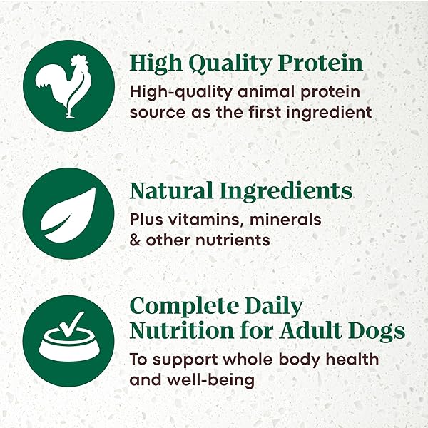 NUTRO ULTRA WET DOG FOOD ADULT PATE TRIO OF PROTEINS CHICKEN, LAMB & WHITEFISH, 3.5 OZ. TRAYS (12 COUNT, PACK OF 1)