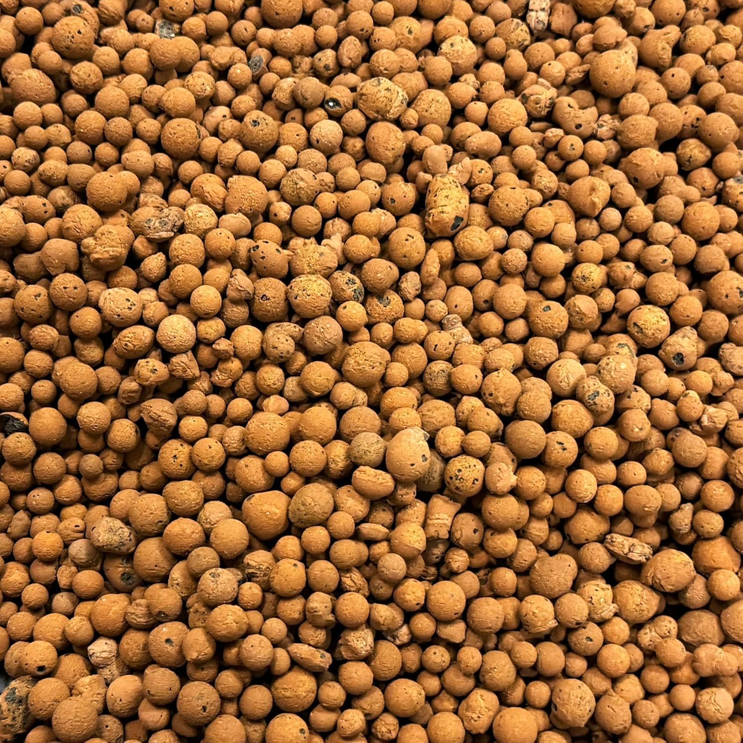 Advanced Farming Premium Clay Pebbles For Plants: Multipurpose Growing Medium for Gardens, Hydroponics, and Green Roofs, Pots Drainage, Orchids, Terrariums, Water Beads (2ltr)