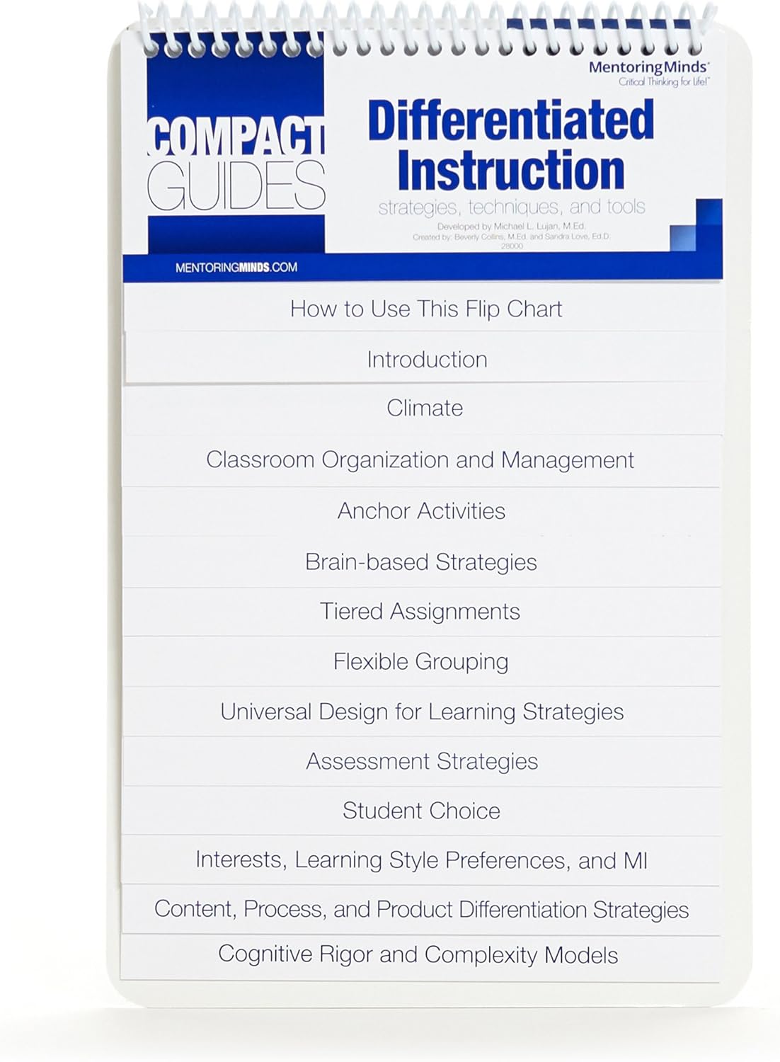 Differentiated Instruction Guide