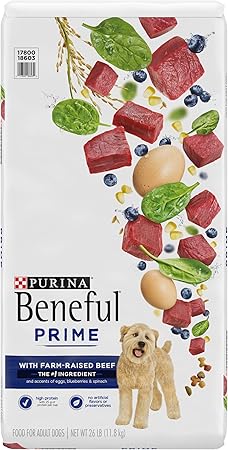 what kind of dog is in the beneful commercial 2018