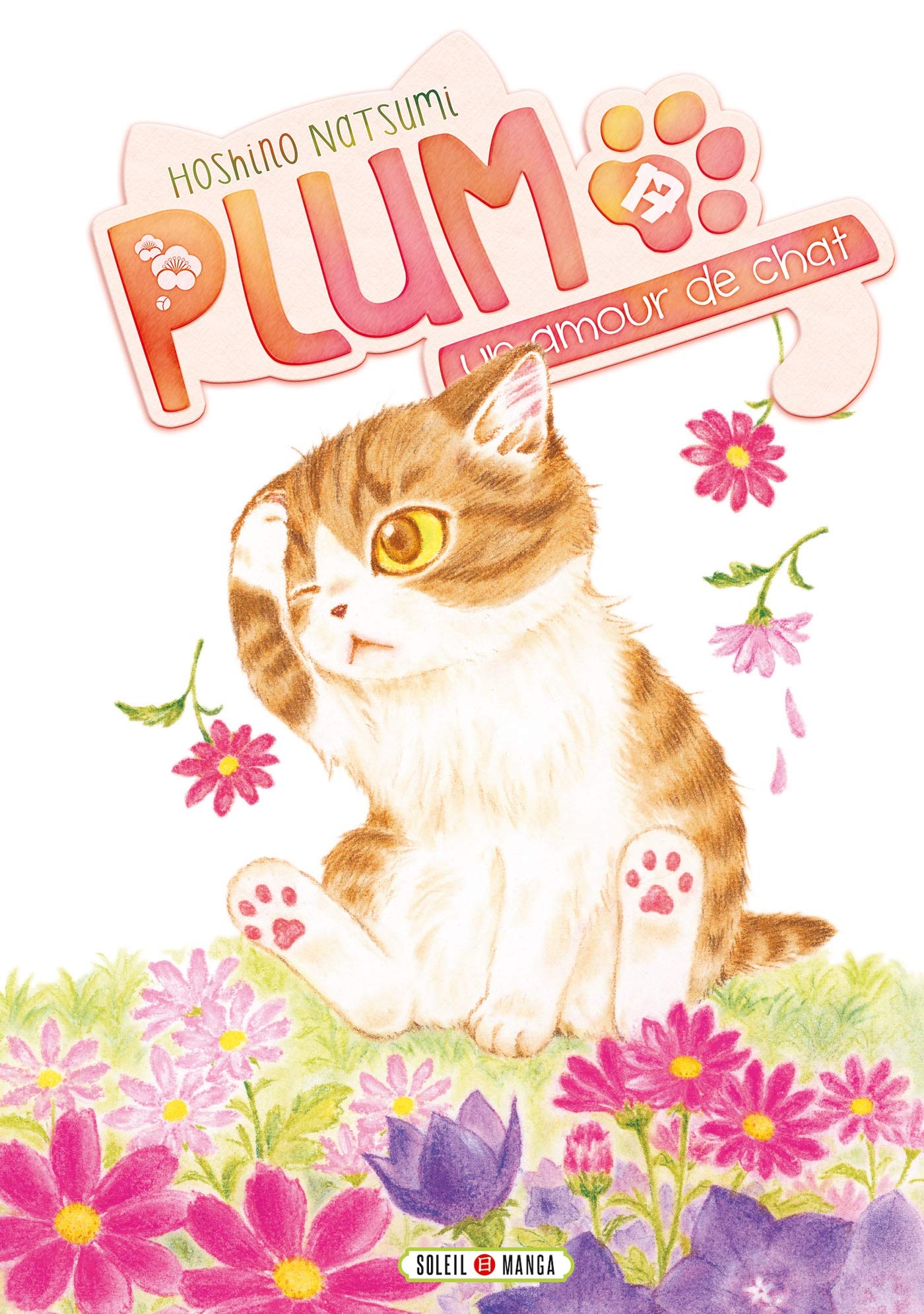 Plum Un Amour De Chat T17 Plum Un Amour De Chat 17 French Edition Hoshino Natsumi Hoshino Natsumi Amazon Com Books