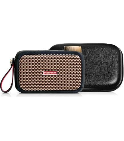Amazon.com: Positive Grid Spark GO 5W Ultra-Portable Smart Guitar