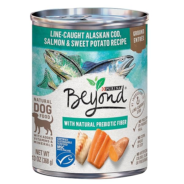 PURINA BEYOND NATURAL WET DOG FOOD PATE, GRAIN...