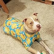 rubber ducky dog pajamas