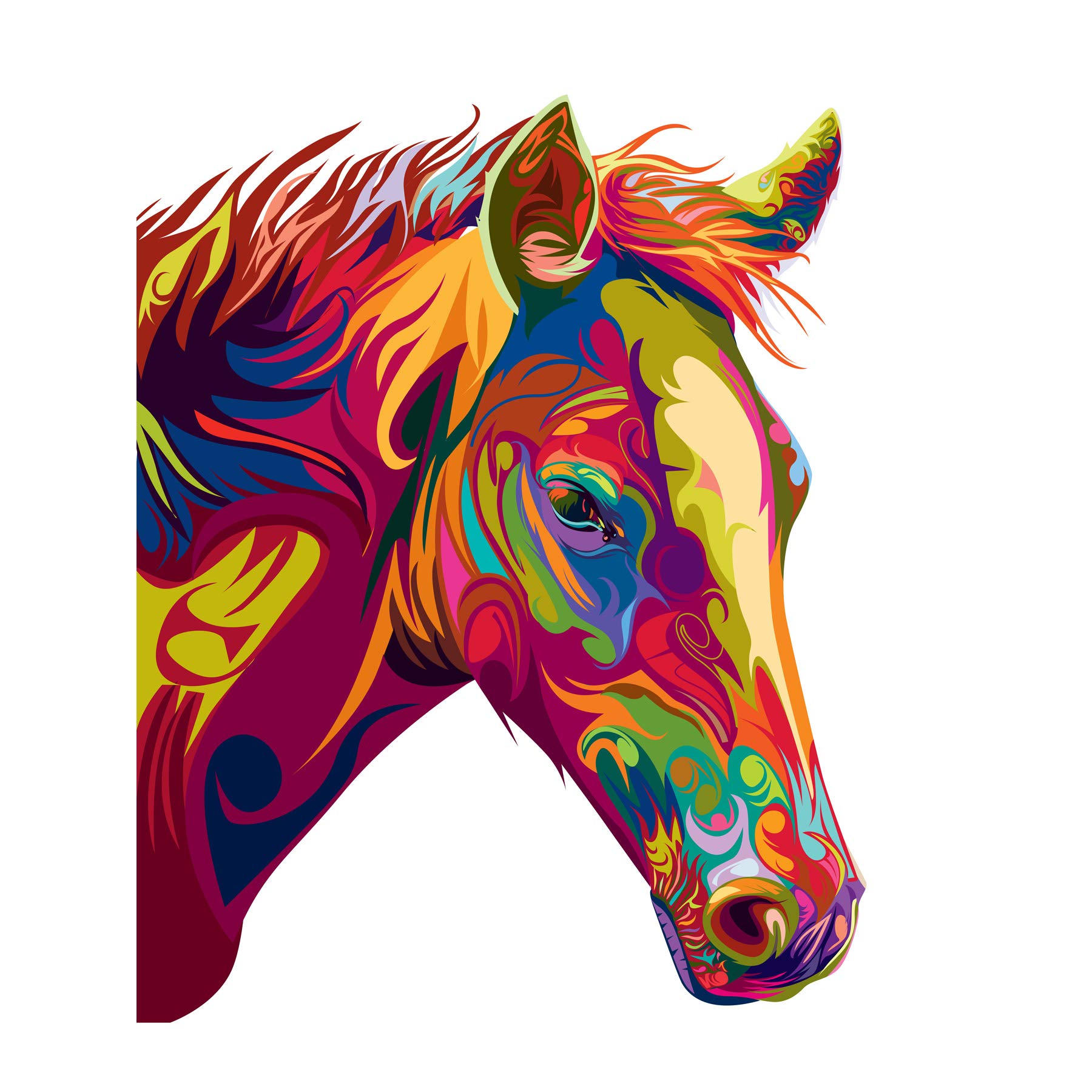 Horse Illustration Swirly Colourful Large Wall Art Print Canvas Premium Poster