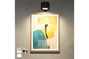 Arixinks Battery Picture Light for Wall Art, Wireless Painting Light 300LM Dimmable,Magnetic Picture Light,Up Down Spotlight, Led Accent Light for Wall Bedroom with Spotlight/Floodlight 2in1