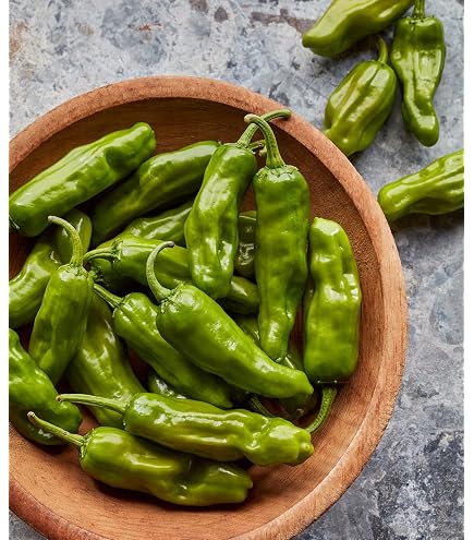 100 Semi Di Peperoncino Blu Turchese - Facili Da Coltivare In Casa O Giardino - Foto 3