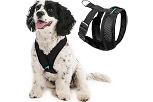 Gooby Comfort X Head In Harness - Black, Medium - No Pull Small Dog Harness Patented Choke-Free X Frame - Perfect on the Go Dog Harness for Medium Dogs No Pull or Small Dogs for Indoor and Outdoor Use