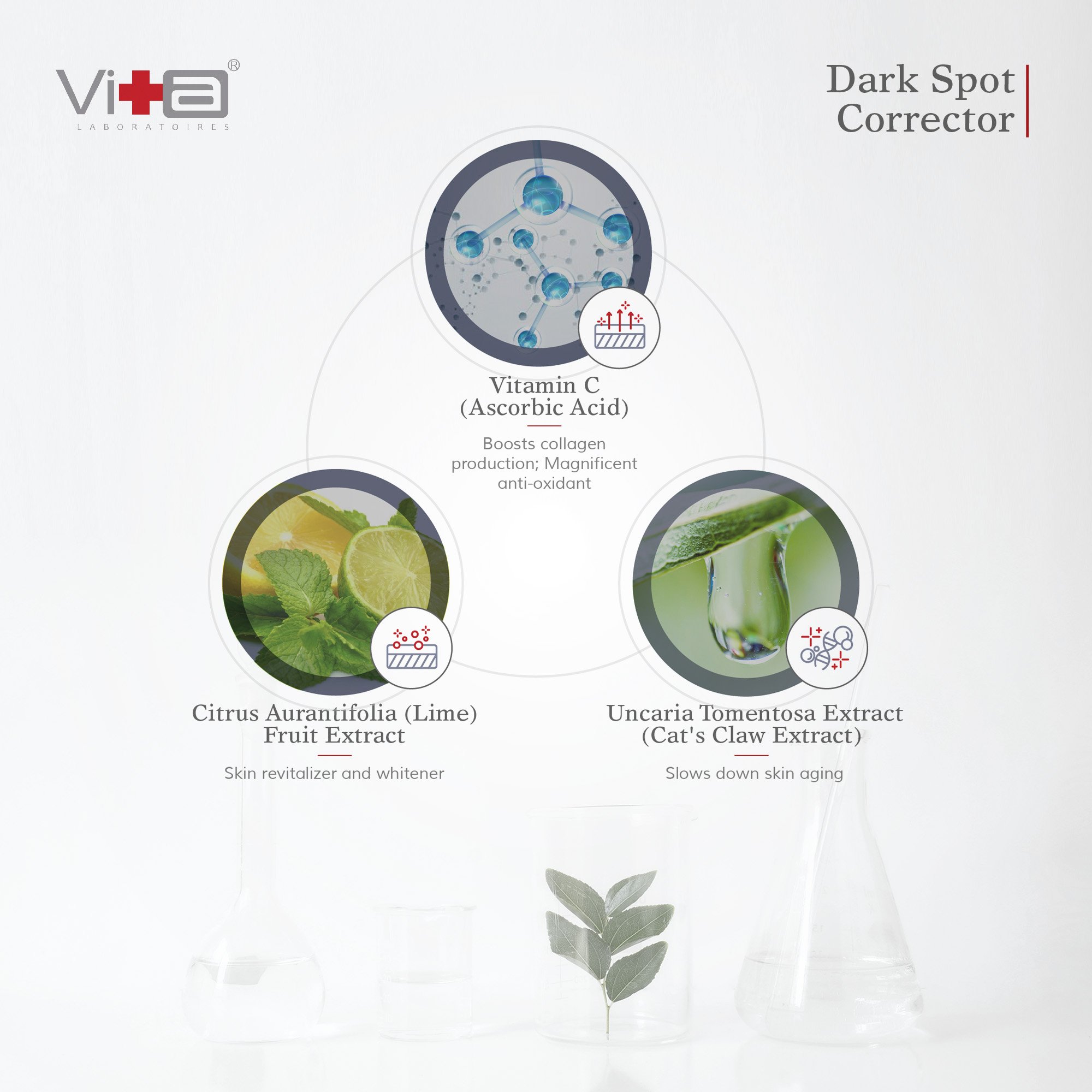 Swissvita Dark Spot Corrector for Face- Vitamin C Age Spot Remover - Dark Spot, Sun Spot and Acne Spot Anti Spot Serum 0.5 o.z./ 15g