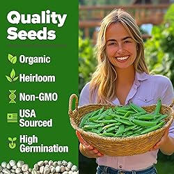 HOME GROWN - Snap Pea Seeds for Planting