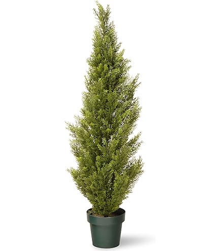 剛樹 8LBS タクミオリジナル 6～18 80～150号 剛樹 デザインブラック MH205 金ガイド - Fishing-ZERO