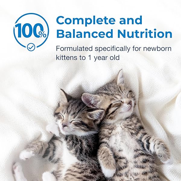 PETAG KMR KITTEN MILK REPLACER LIQUID – 16 OZ – READY-TO-FEED FORMULA WITH VITAMINS FOR NEWBORN KITTENS TO 1 YEAR – EASY TO DIGEST