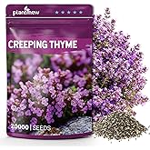 20000+ Creeping Thyme Seeds (Thymus Serpyllum), Ground Cover Seeds, Fragrant Lawn Alternative for Garden, Paths &amp; Landscaping (10g / 0.35 oz)