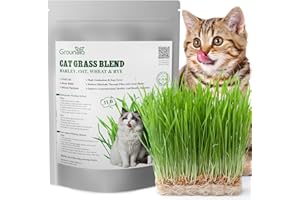 GROUNDIO Cat Grass Seeds, 1 Pound, Non-GMO Barley, Oats, Wheat, Rye 4 Varieties Seeds, Fast & High Germination, Grown in USA for Indoor Cats