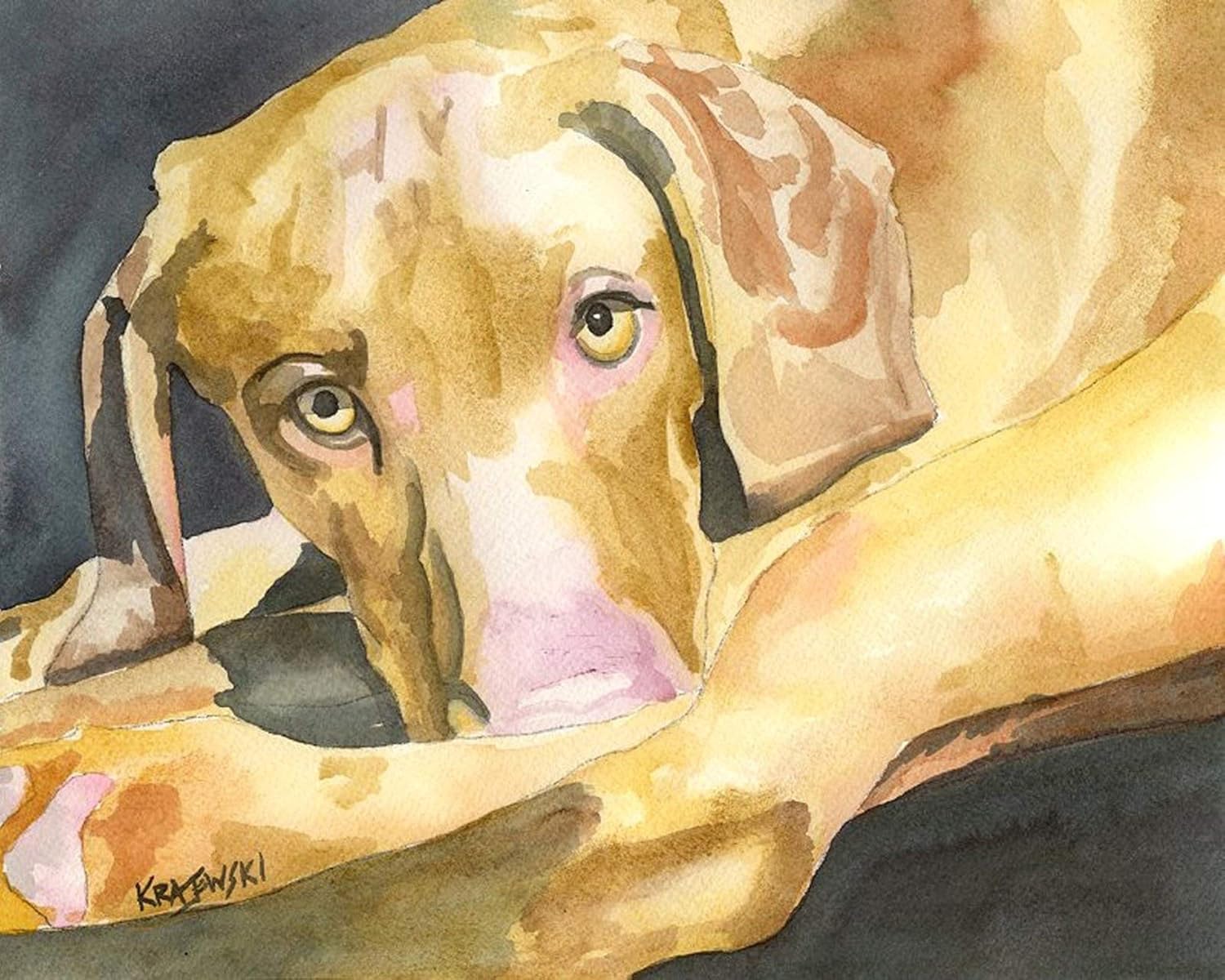 vizsla painting