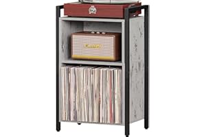 LELELINKY Record Player Stand, Industrial 2 Tier Vinyl Record Storage Cabinet with Steel Frame, Turntable Stand Holds Up to 100 Albums, Record Holder Table for Music Room, Living Room, Bedroom -Grey