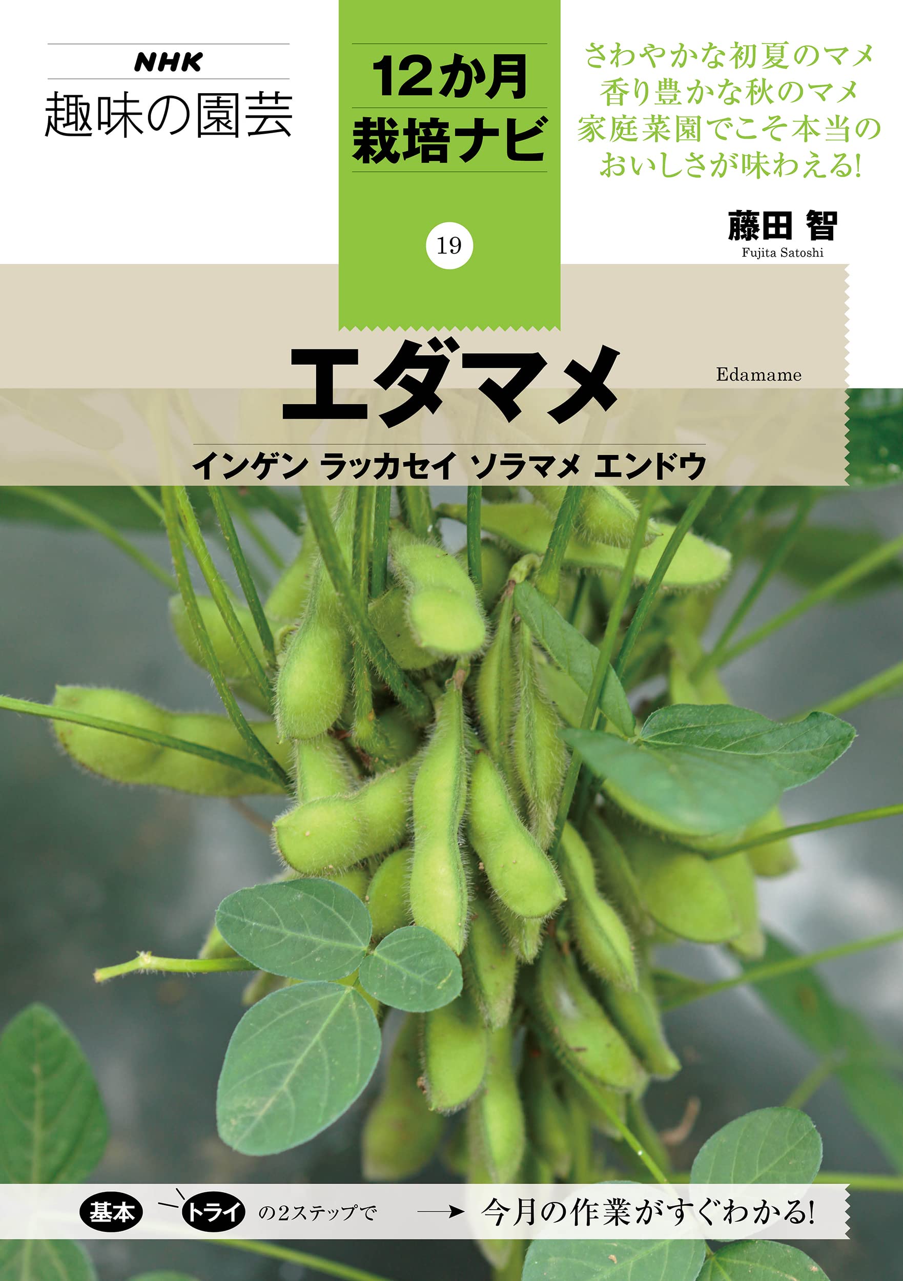 エダマメ インゲン ラッカセイ ソラマメ エンドウ Nhk趣味の園芸 12か月栽培ナビ 19 藤田 智 本 通販 Amazon
