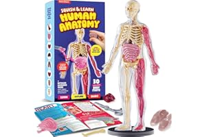 Dan&Darci Human Anatomy Squishy Body Model - Science Kits for Kids Ages 4-8 - STEM Toys for 4 5 6 7 8 Year Old Boy Birthday G
