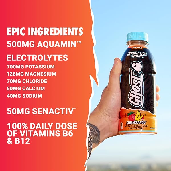 GHOST HYDRATION DRINK, STRAWBANGO – RTD SPORTS DRINK WITH ELECTROLYTES, NATURAL VITAMINS & MINERALS – ALL DAY LIFESTYLE HYDRATION BEVERAGE – ZERO CAFFEINE & ZERO SUGARS – 16.9 FL OZ, 12 PACK