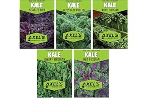 AXEL'S GARDEN SEEDS Kale Seeds for Planting - Plant & Grow Heirloom Kale Varieties Home Outdoor Garden – Easy Grow Planting Packet Instructions Included, Great Gardening Gift – 1 Packet of Each Variety
