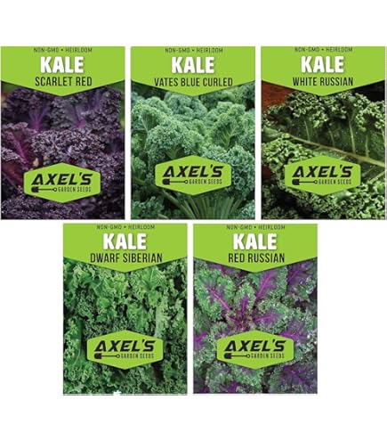 Col Rizada O Kale, La Verdura De Hoja Verde Que Supo Ser La Más Buscada - Foto 5