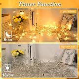 cshare 2M 20LED Battery Fairy Lights Timer IP65 Warm White view 3