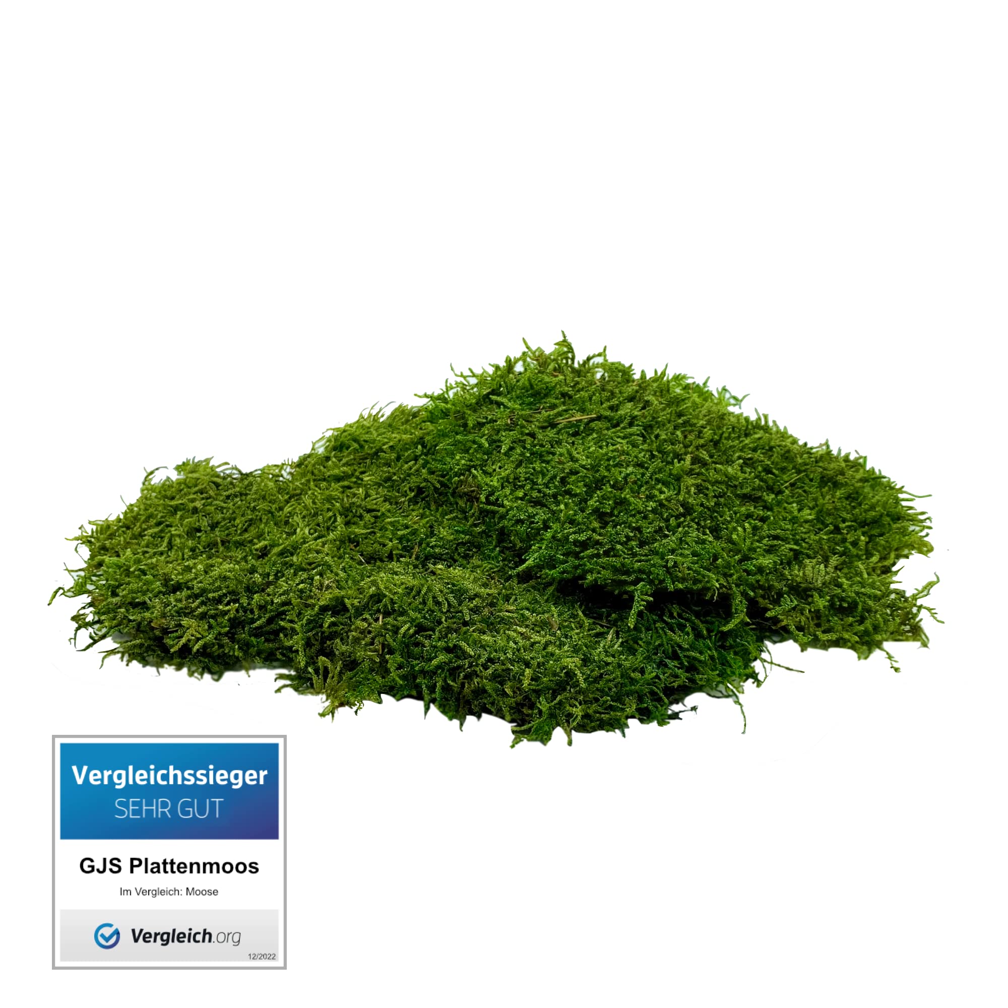 GJS Moss Sheets - Flat Moss in 100g/200g/500g - Real Preserved Durable Moss Mats for Crafts, Decorative Moss / Flat Moss (Plate Moss, 100)