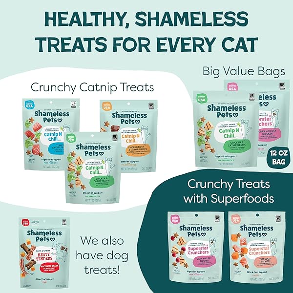 SHAMELESS PETS CRUNCHY CAT TREATS – CATNIP TREATS FOR CATS WITH DIGESTIVE SUPPORT, NATURAL INGREDIENTS KITTEN TREATS WITH REAL CHICKEN, HEALTHY FLAVORED FELINE SNACKS – CATNIP N CHILL, 3-PK