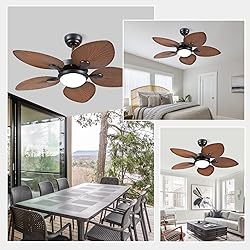 Wiviniya Tropical Ceiling Fans with Lights and