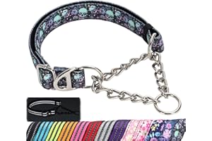 MAOWUWUJOZ Martingale Dog Collar with Chain,Skull Reflective Nylon Soft Padded Adjustable Choke Collar for Large Breed Dogs, Medium, XL, XXL - Training & Walking Collar(Skull M)