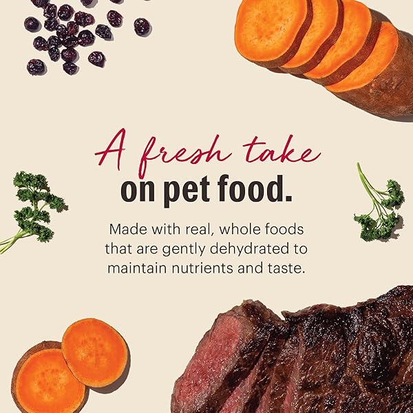THE HONEST KITCHEN HUMAN GRADE WHOLEMADE™ DEHYDRATED GRAIN FREE BEEF DOG FOOD – COMPLETE & BALANCED MEAL OR TOPPER 7 LB BOX