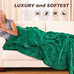 TOONOW Faux Fur Luxury Throw Blanket,Double Side