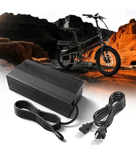 Amazon.com: YIBEICO Battery Charger for Super 73 ZX/S2/RX/Z S R