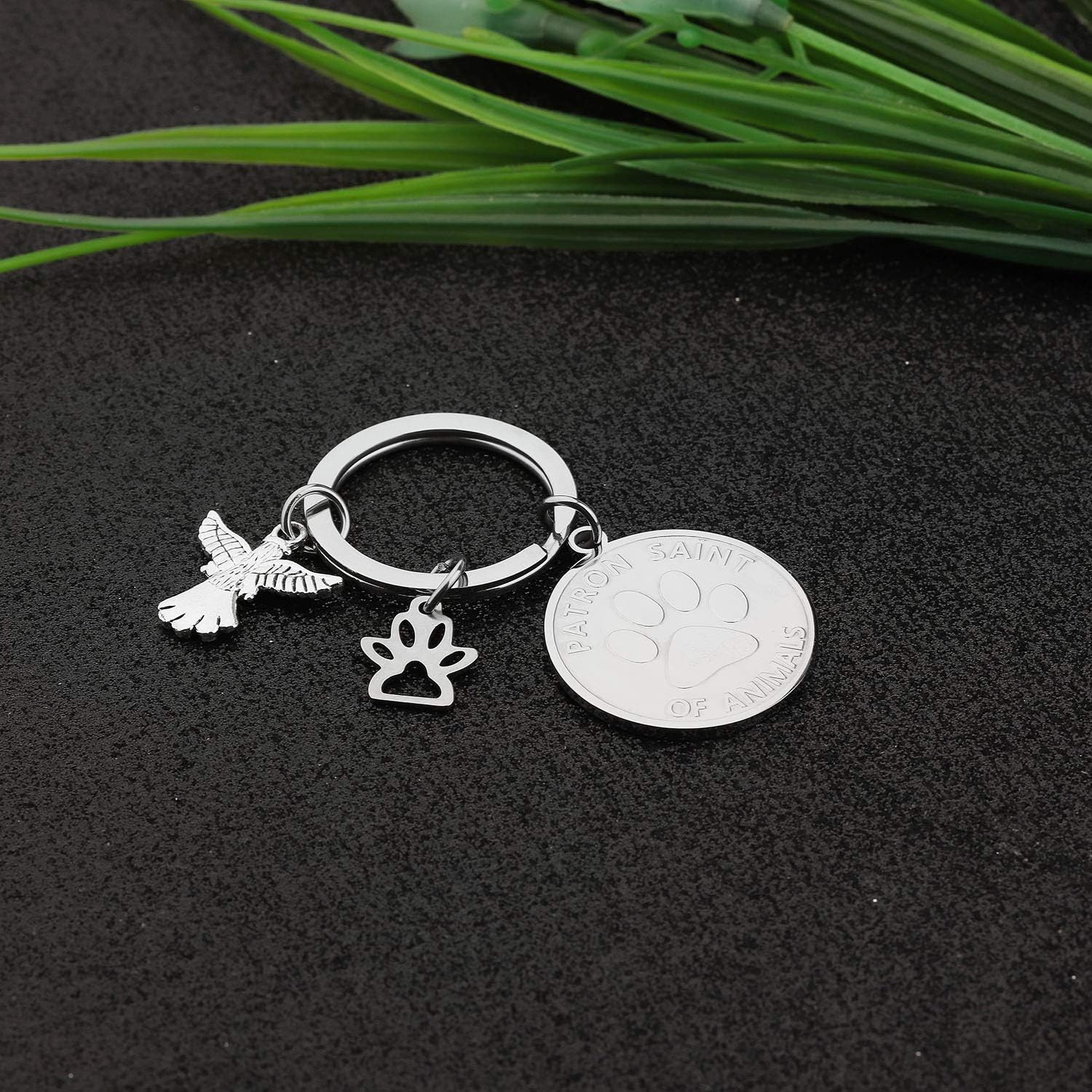 CYTING Saint Francis of Assisi Patron Saint Of Animals Protect My Pet Stainless Steel Dog Cat Pet ID Tag Collar Charm (Protect My Pet ID Tag): Clothing