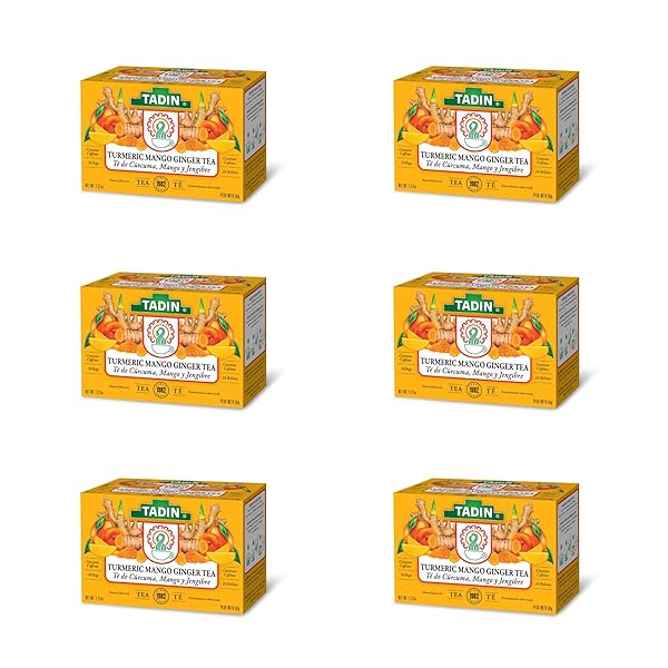 TADIN TURMERIC MANGO GINGER TEA, CONTAINS CAFFEINE, BEST AS HOT TEA, CONTAINS BLACK TEA, 24 TEA BAGS PER BOX, PACK OF 6