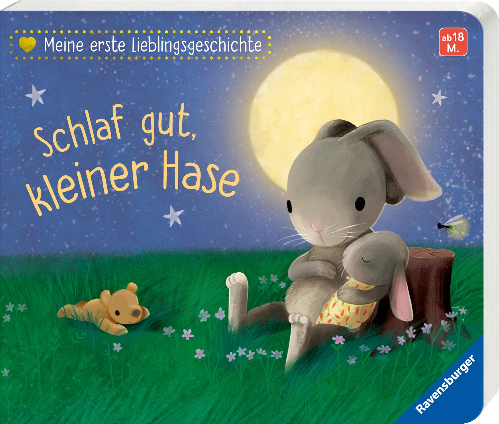 meine erste lieblingsgeschichte schlaf gut kleiner hase reider katja braun sebastien amazon de bucher