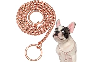 Heavy Duty Dog Stainless Steel Choke Collar Slip Dog P Chain Snake Collar Plating Anti-Rust Dog Training Collars for Small La