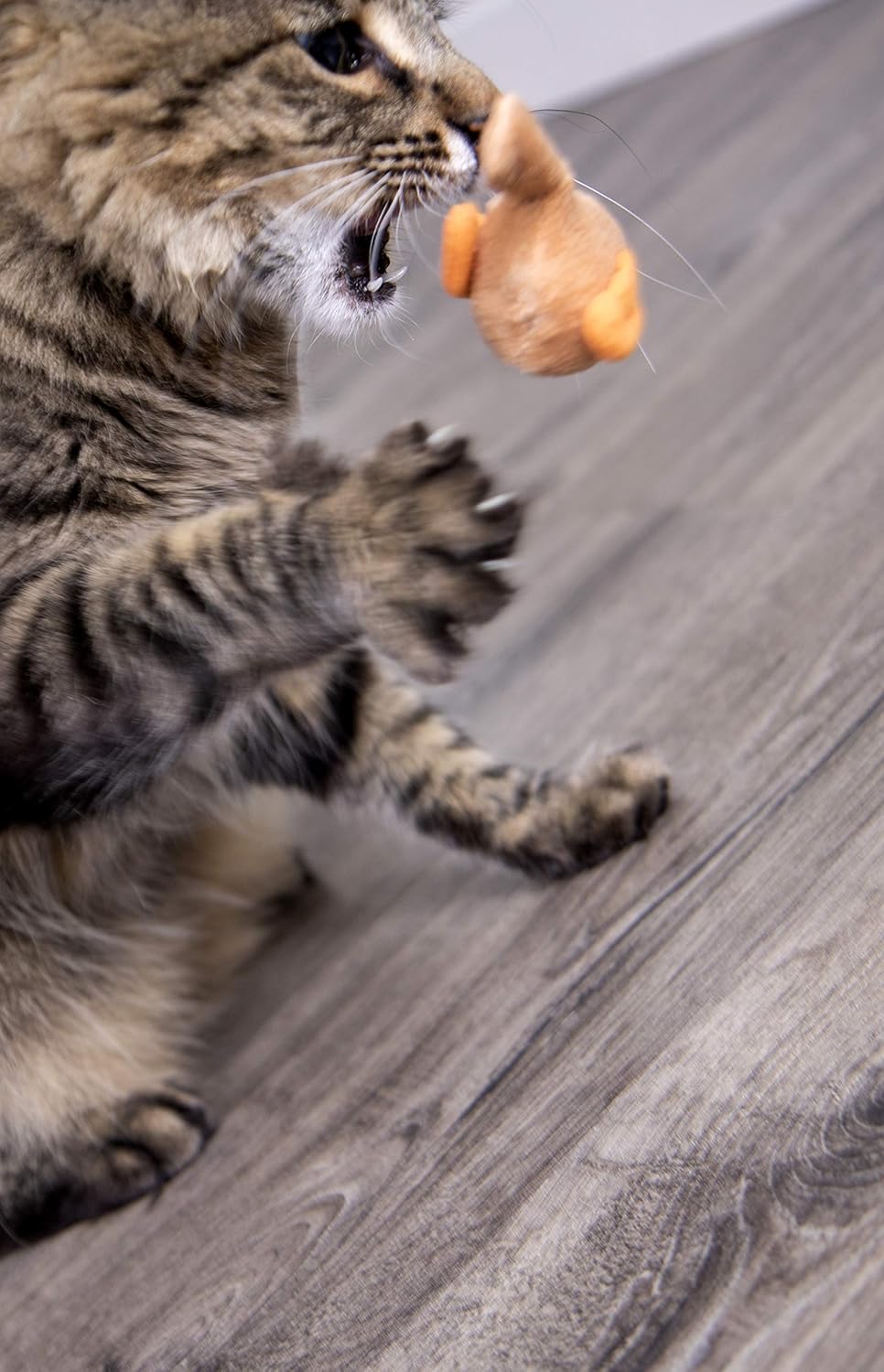 SmartyKat Electronic Sound, Motion or Light Cat Toys : Pet Mice And Animal Toys : Pet Supplies
