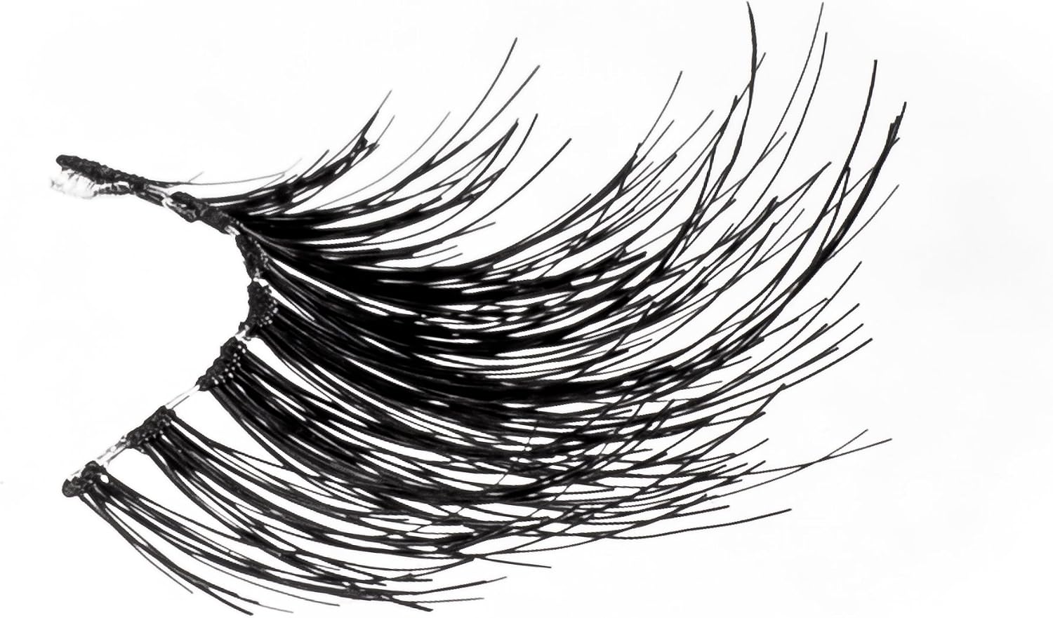 Eldora False Eyelashes H167, black, 167 count (Pack of 1) - Image 3