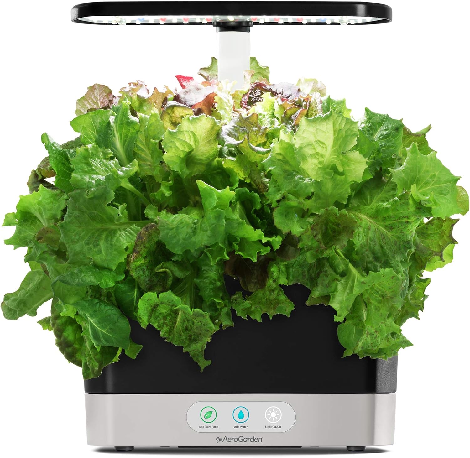 AeroGarden Salad Greens Mix Seed Pod Kit, 6 : Garden & Outdoor