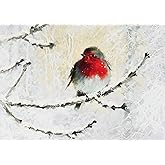 English Robin in Winter Deluxe Boxed Holiday Cards (20 Cards and 21 Self-sealing Envelopes)