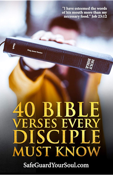 40 Bible Verses Every Disciple Must Know A Rich Treasury Of Holy Scripture Kindle Edition By Tomasella Todd Religion Spirituality Kindle Ebooks Amazon Com