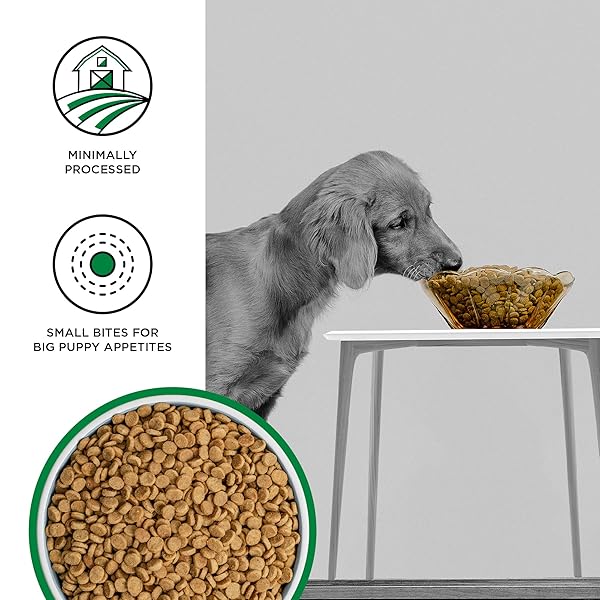 BIXBI LIBERTY GRAIN FREE DRY DOG FOOD, ORIGINAL RECIPE PUPPY, 4 LBS – FRESH MEAT, NO MEAT MEAL, NO FILLERS FOR EASY DIGESTION – USA MADE