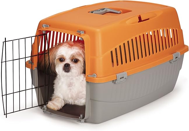 small pet boarding near me