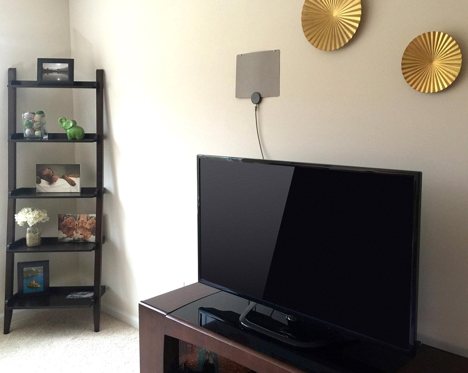 10 Best Mohu TV Antenna Reviews | Digital broadcasting TV solutions!
